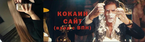 тгк Богданович