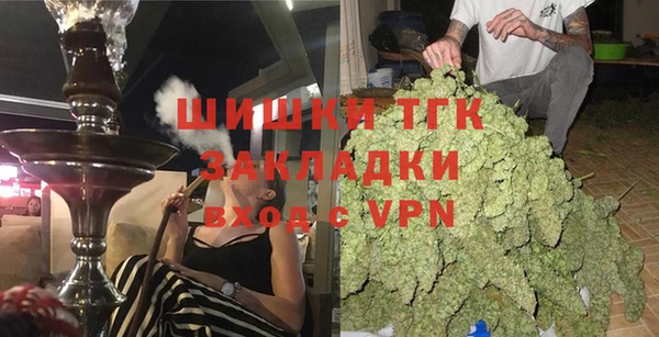 тгк Богданович