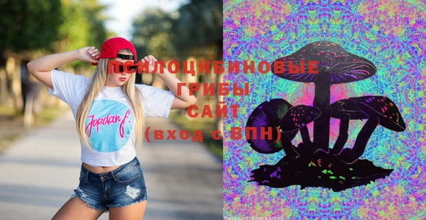 тгк Богданович
